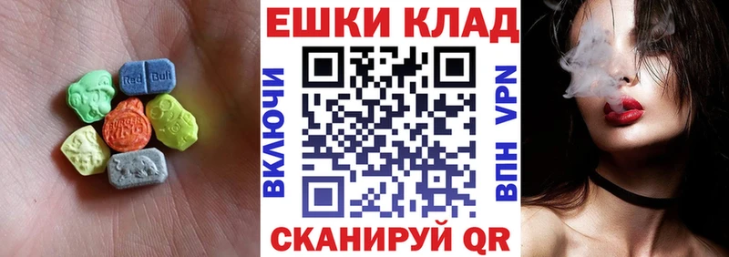 дарнет шоп Завитинск Экстази бентли