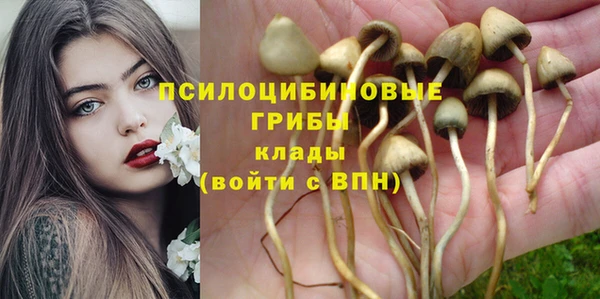 трава Алзамай