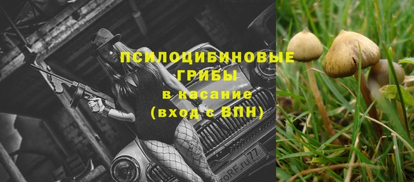 ALPHA PVP Алексин