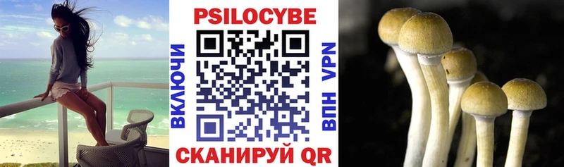 Псилоцибиновые грибы ЛСД сайты даркнета как зайти Завитинск